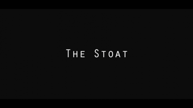 The Stoat
